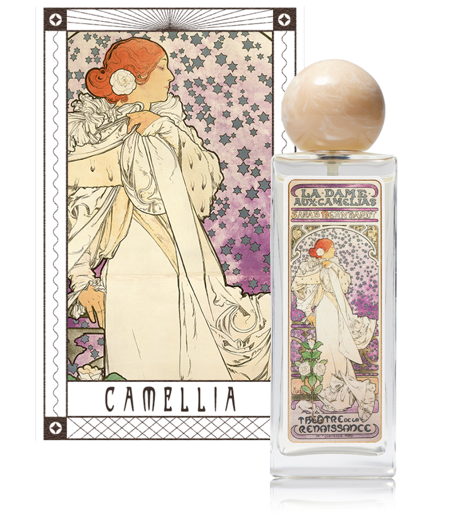CAMELLIA