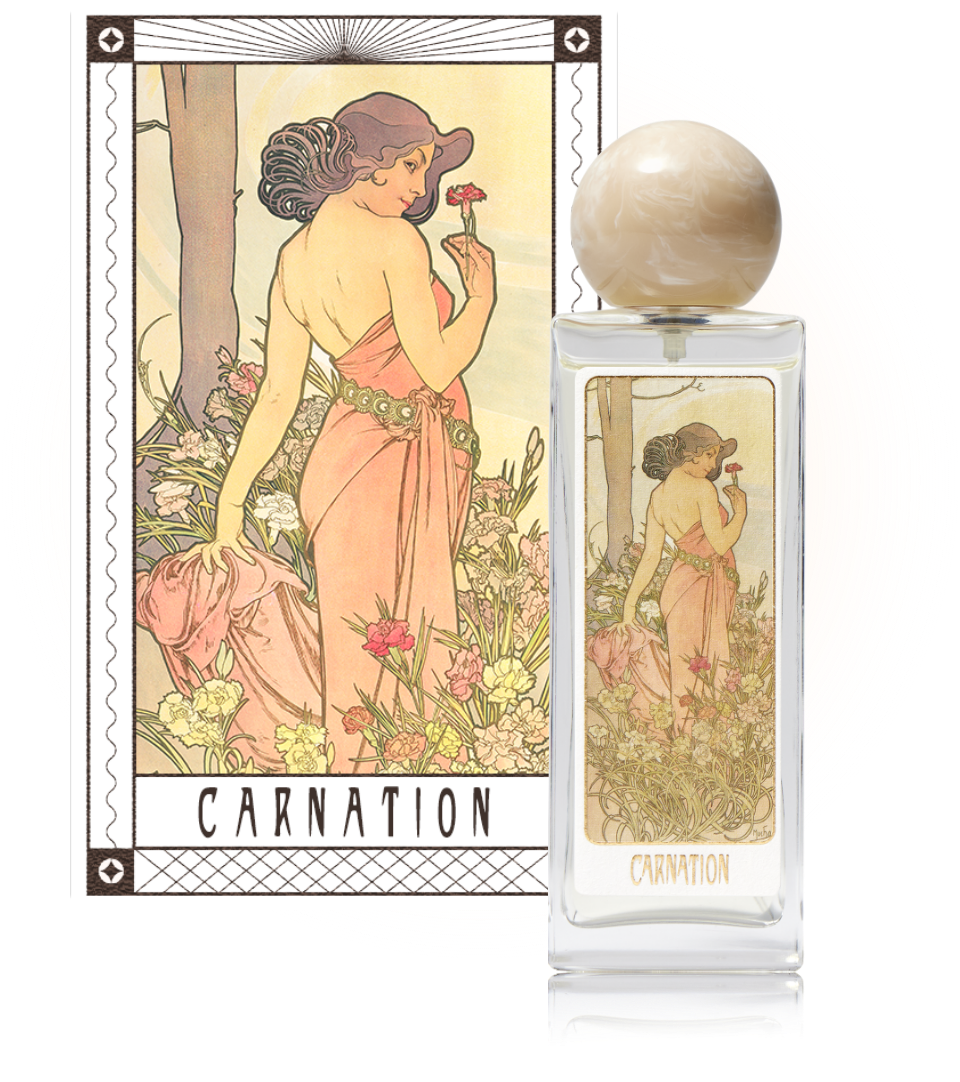 carnation