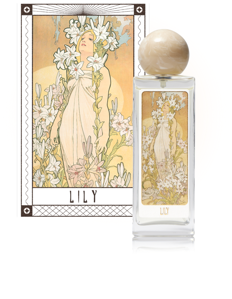 lily